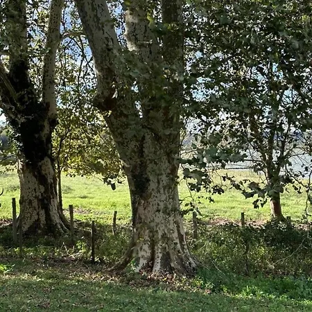 Hébergement de vacances Sables 1 *